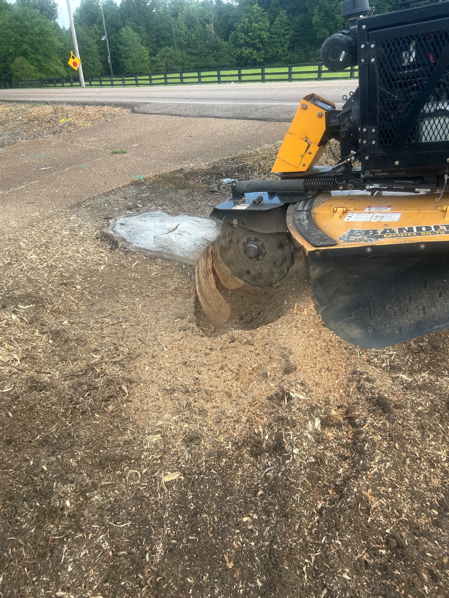 JLR Stump Grinding, Tree Stump Grinding and Removal in Piperton, TN - photo 4