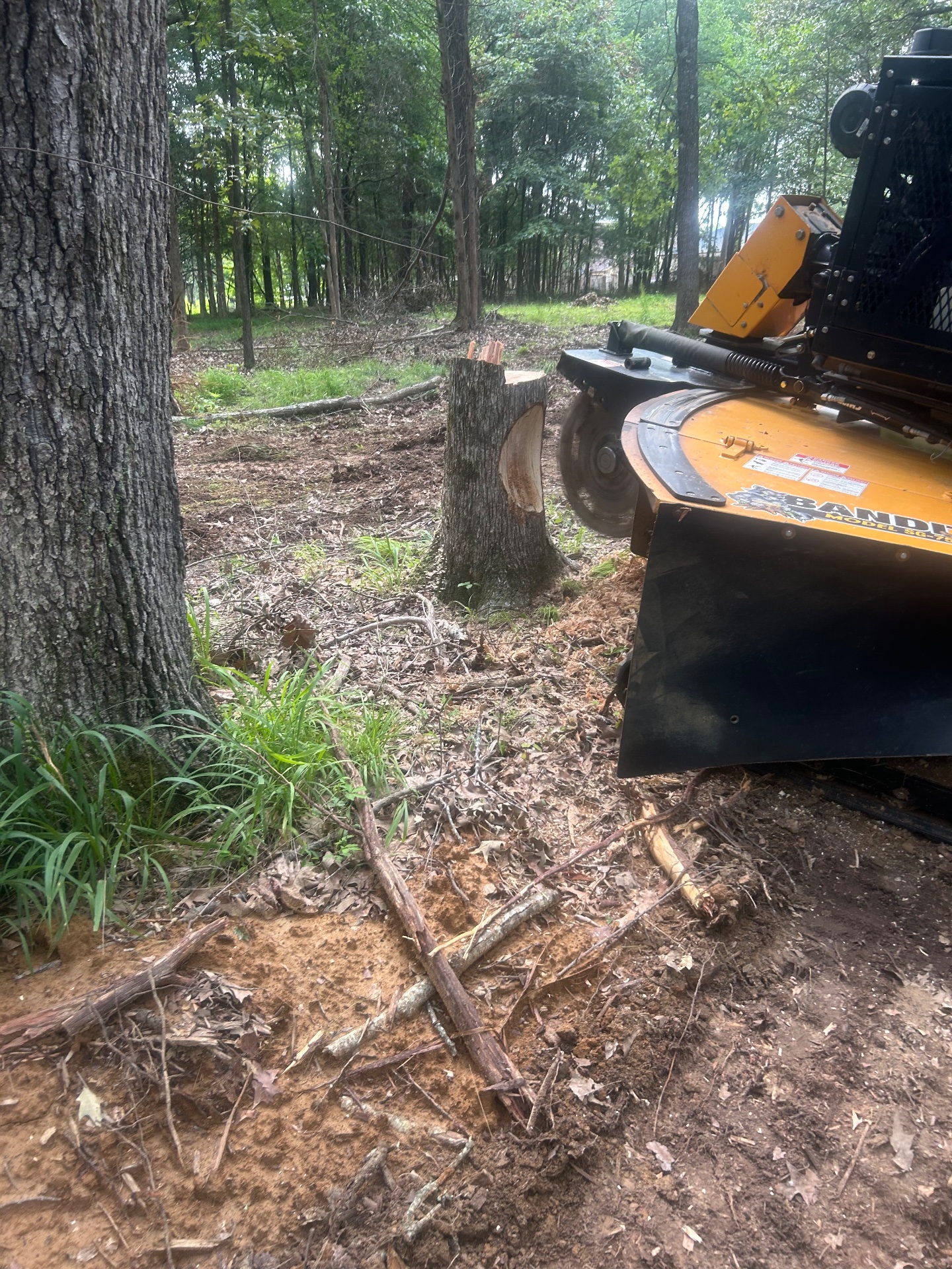 JLR Stump Grinding, Tree Stump Grinding and Removal in Piperton, TN - photo 5