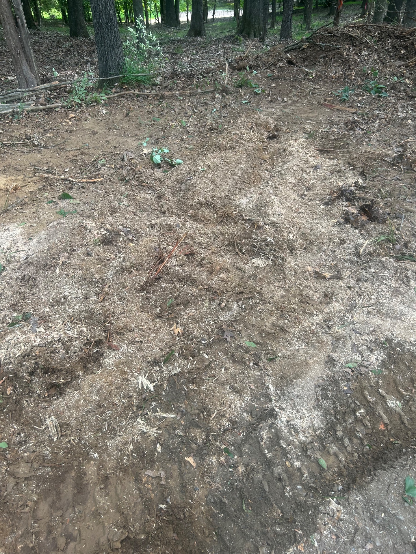 JLR Stump Grinding, Tree Stump Grinding and Removal in Piperton, TN - photo 6