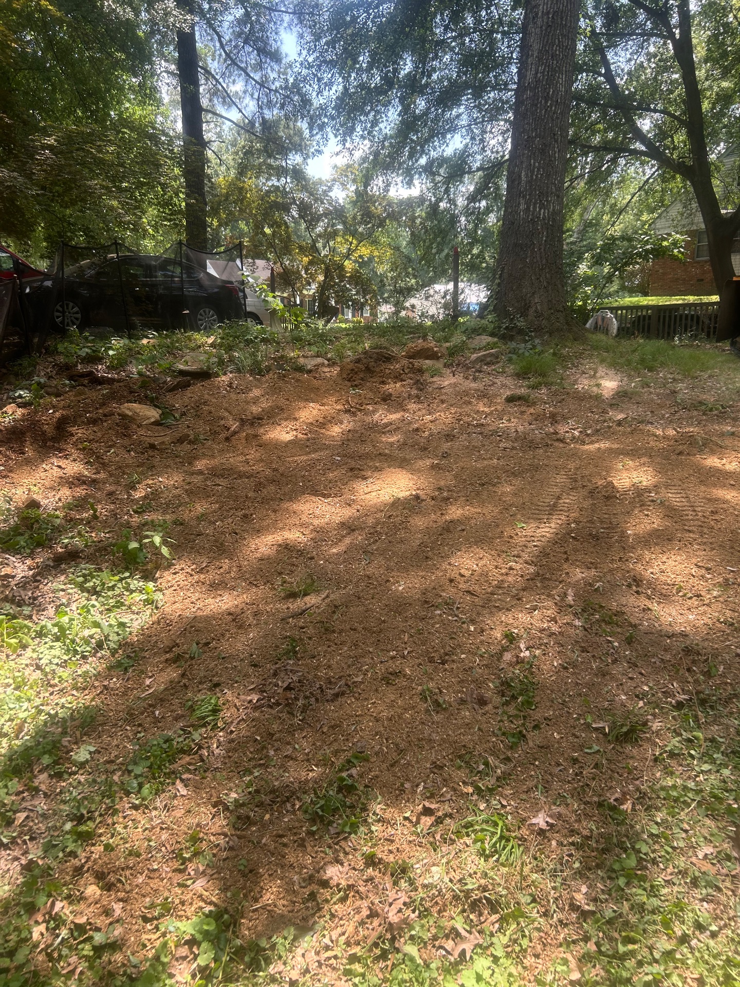 JLR Stump Grinding, Tree Stump Grinding and Removal in Piperton, TN - photo 7