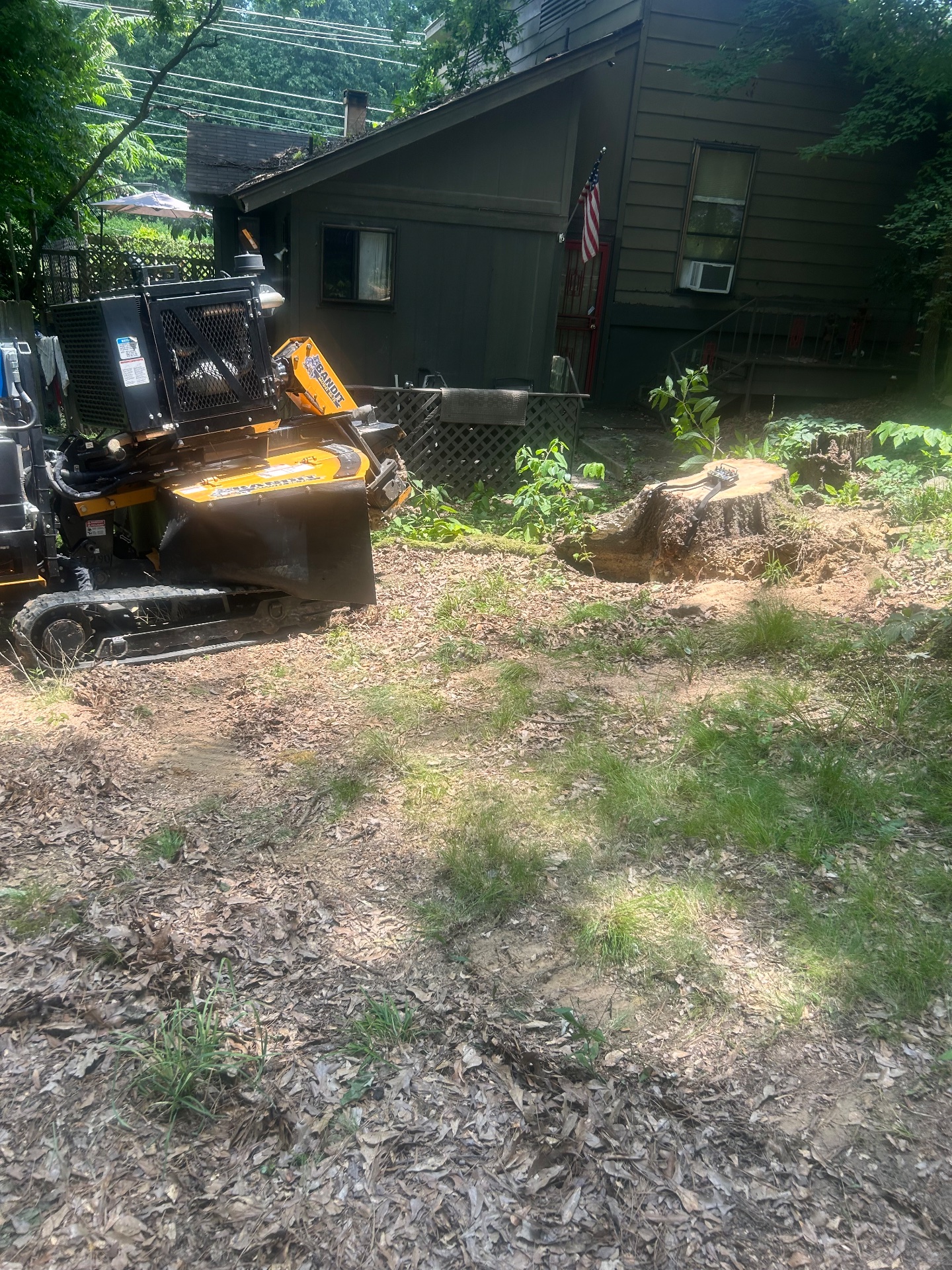 JLR Stump Grinding, Tree Stump Grinding and Removal in Piperton, TN - photo 8