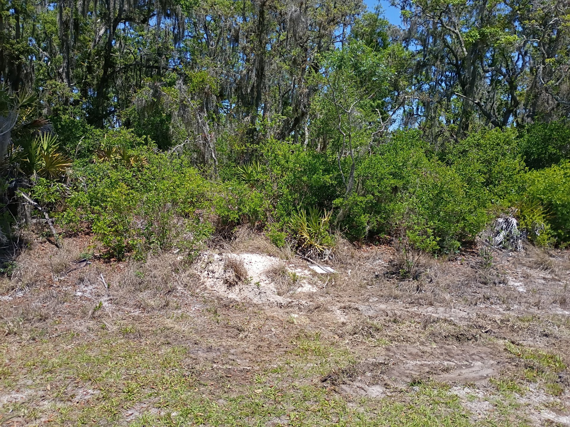 Firebox Land Clearing LLC, Demolition Services in Orlando , FL - photo 1