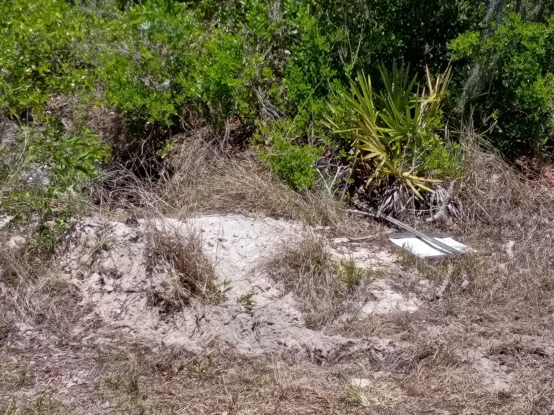 Firebox Land Clearing LLC, Demolition Services in Orlando , FL - photo 2
