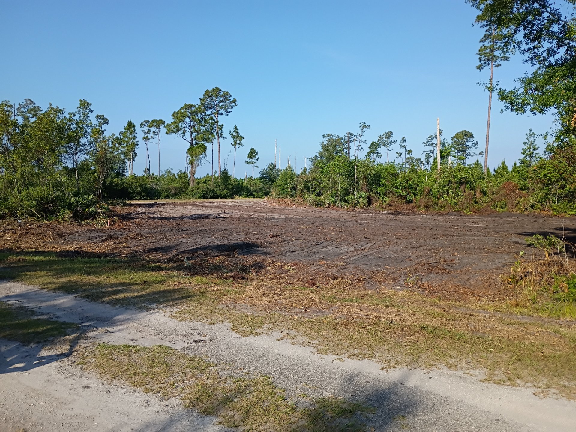 Firebox Land Clearing LLC, Demolition Services in Orlando , FL - photo 3