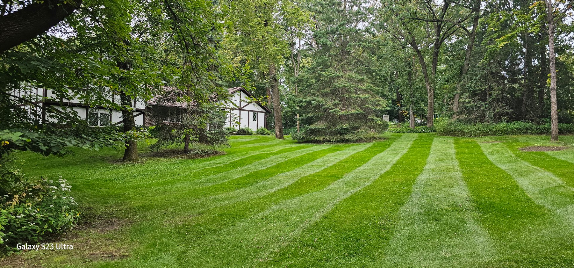Sota Outdoor Services, Lawn Mowing and Trimming in Hastings, MN - photo 5