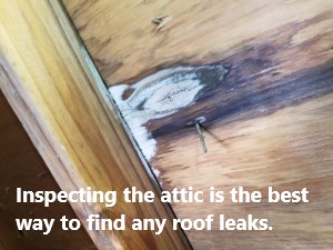 Wise Inspections, Home Inspection in Coral Springs, FL - photo 4