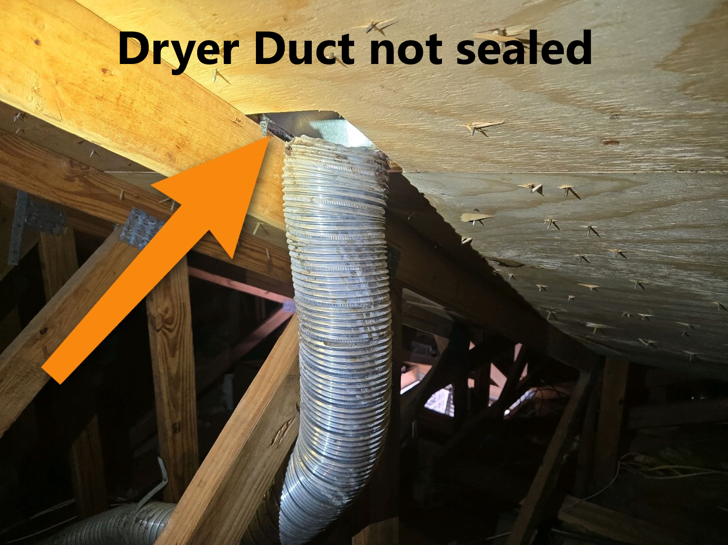 Wise Inspections, Home Inspection in Coral Springs, FL - photo 6