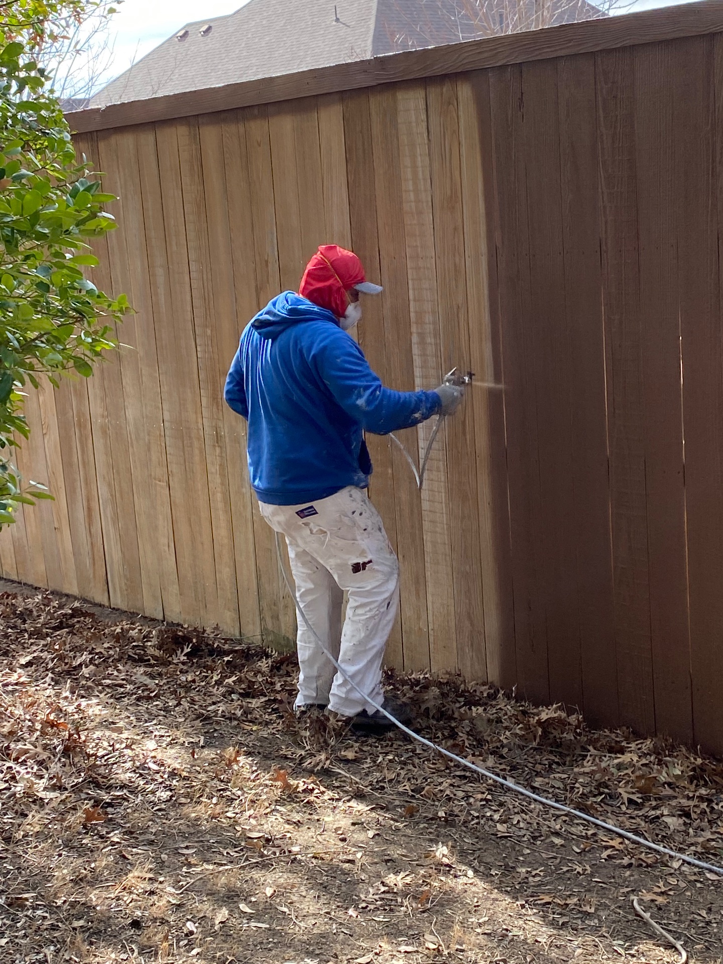 Rooster Painting, Cabinet Painting in Arlington, TX - photo 7