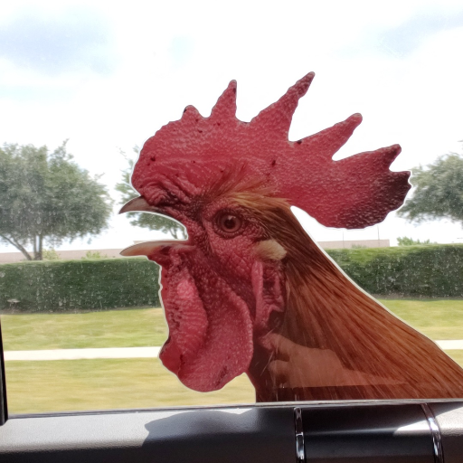 Rooster Painting
