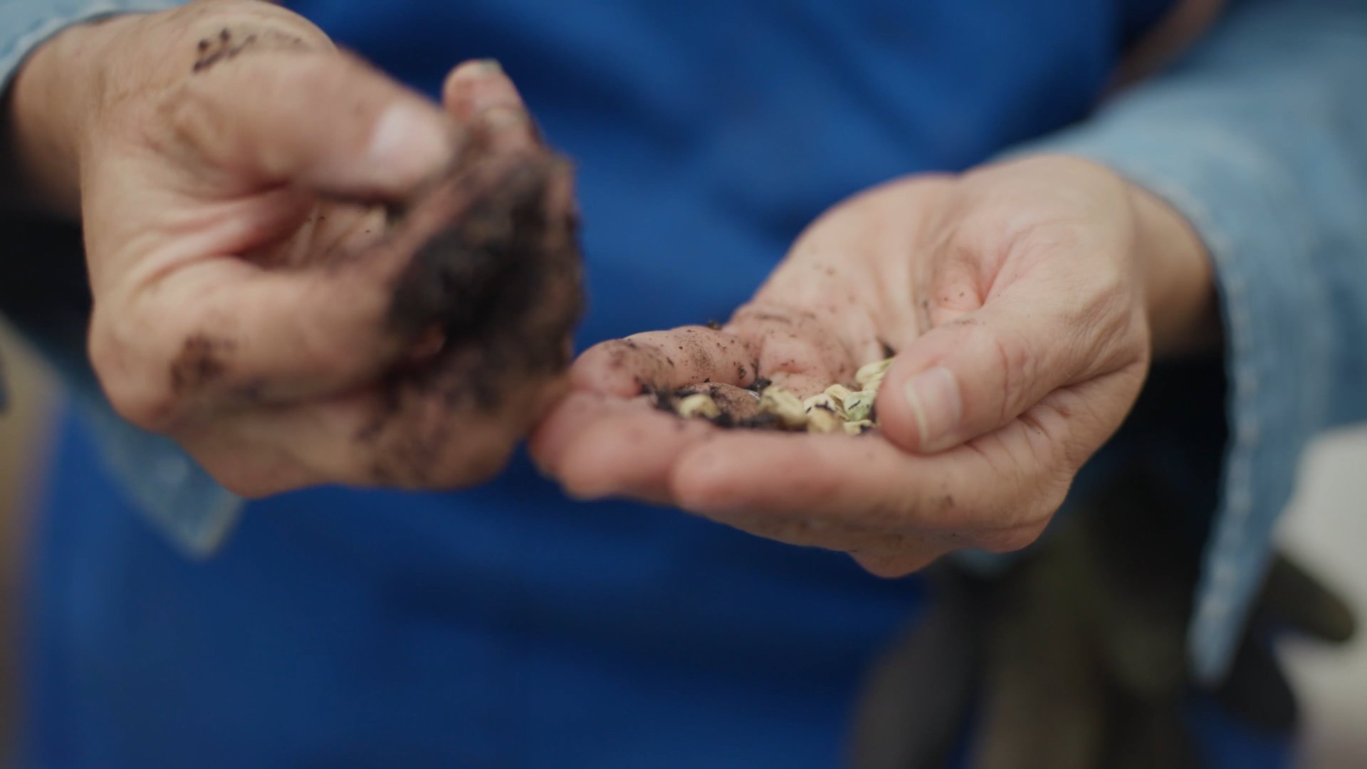 Weston Snider Productions, Video Production in Austin, TX - photo 2
