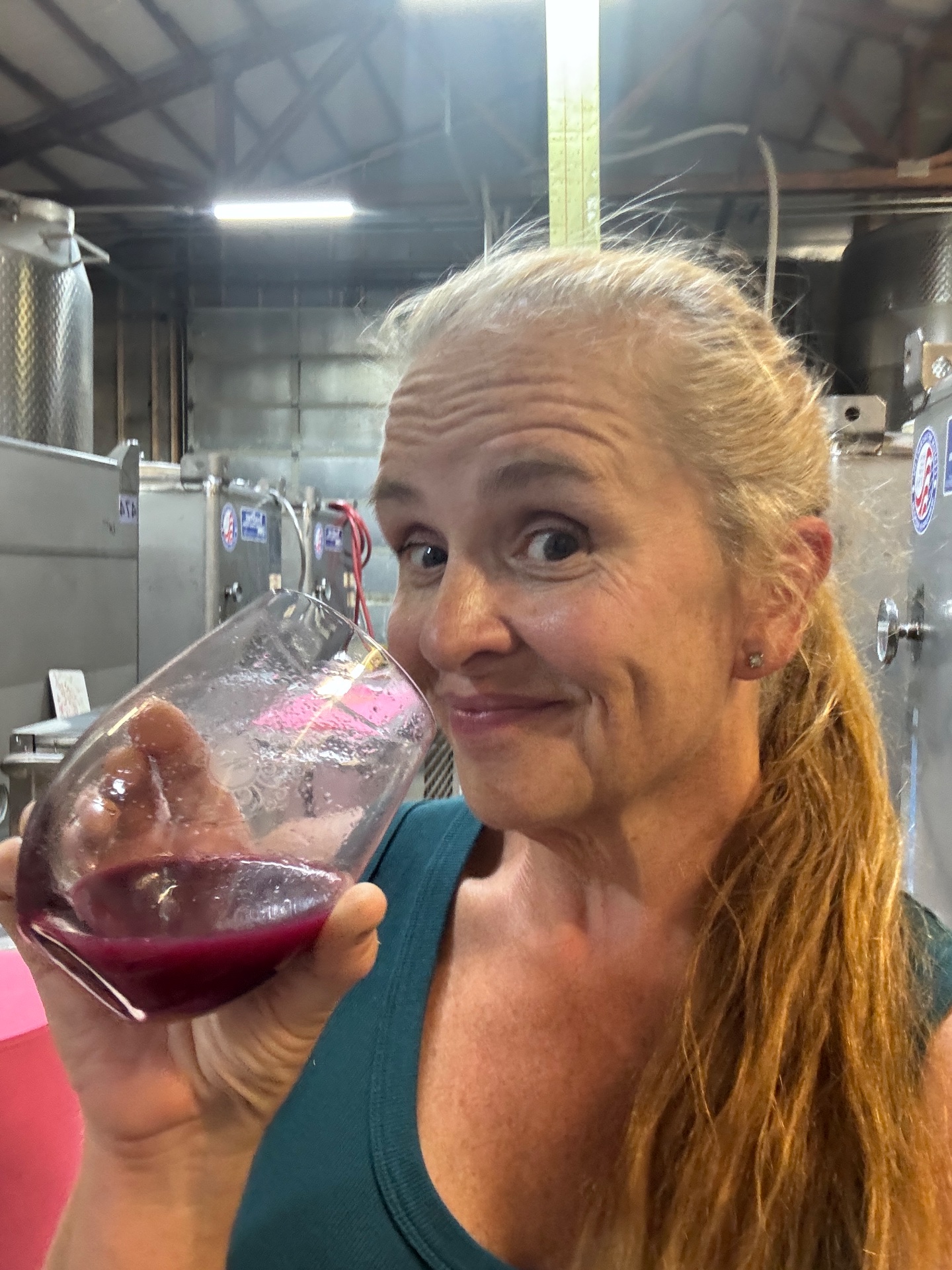 Meraviglioso Winery & Gallery, Wine Tasting Room in Newberg, OR - photo 3