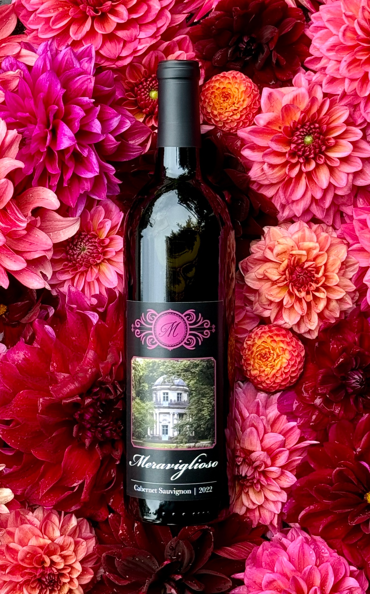 Meraviglioso Winery & Gallery, Wine Tasting Room in Newberg, OR - photo 6