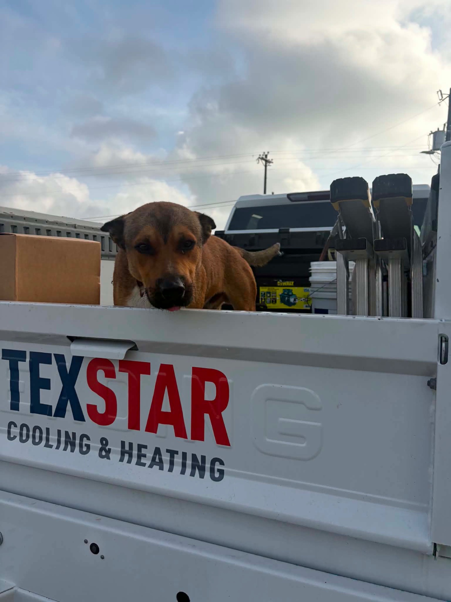 Texstar Cooling & Heating, Air Duct Cleaning in San Marcos, TX - photo 7