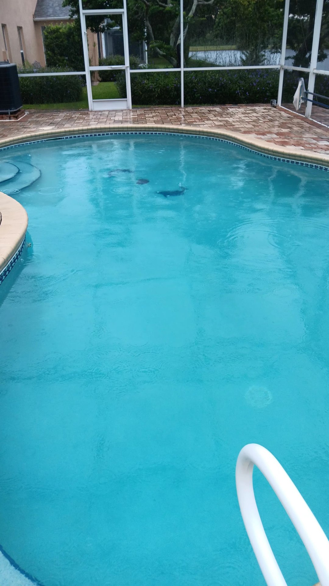 Quality Pools Service, Swimming Pool Cleaning, Maintenance, and Inspection in Deltona, FL - photo 4