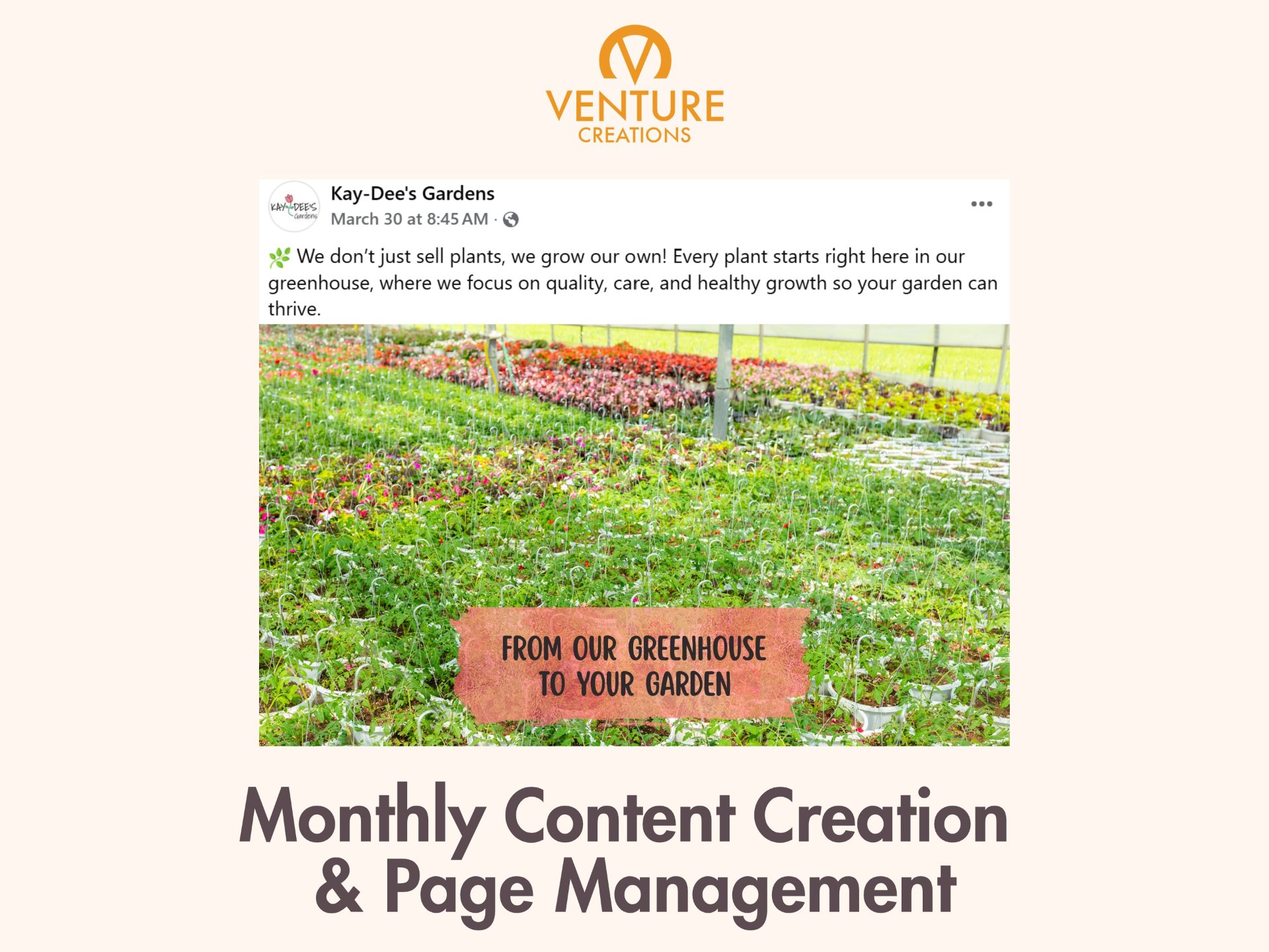 Venture Creations, Advertising Services in Hudsonville, MI - photo 3