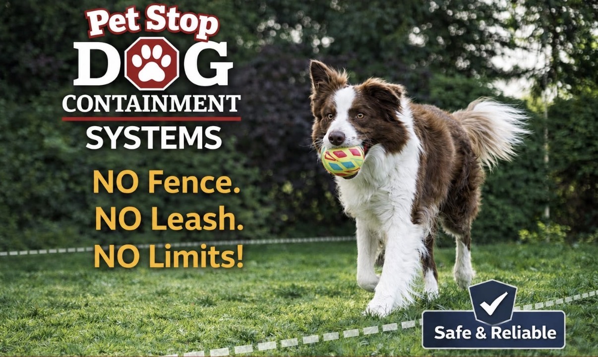 Pet Stop of North Georgia, LLC, Dog Training in Murrayville, GA - photo 1