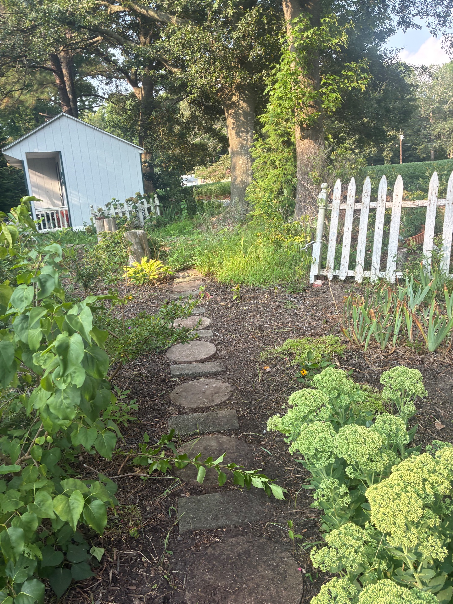 John’s handy services, Lawn Mowing and Trimming in Dagsboro , DE - photo 6