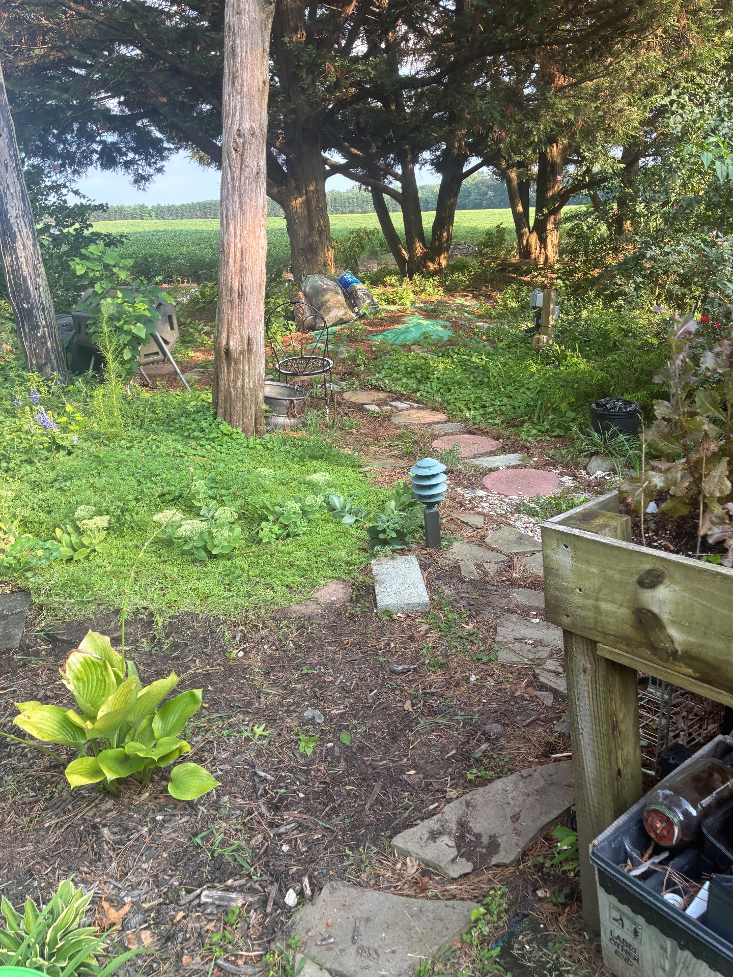 John’s handy services, Lawn Mowing and Trimming in Dagsboro , DE - photo 7