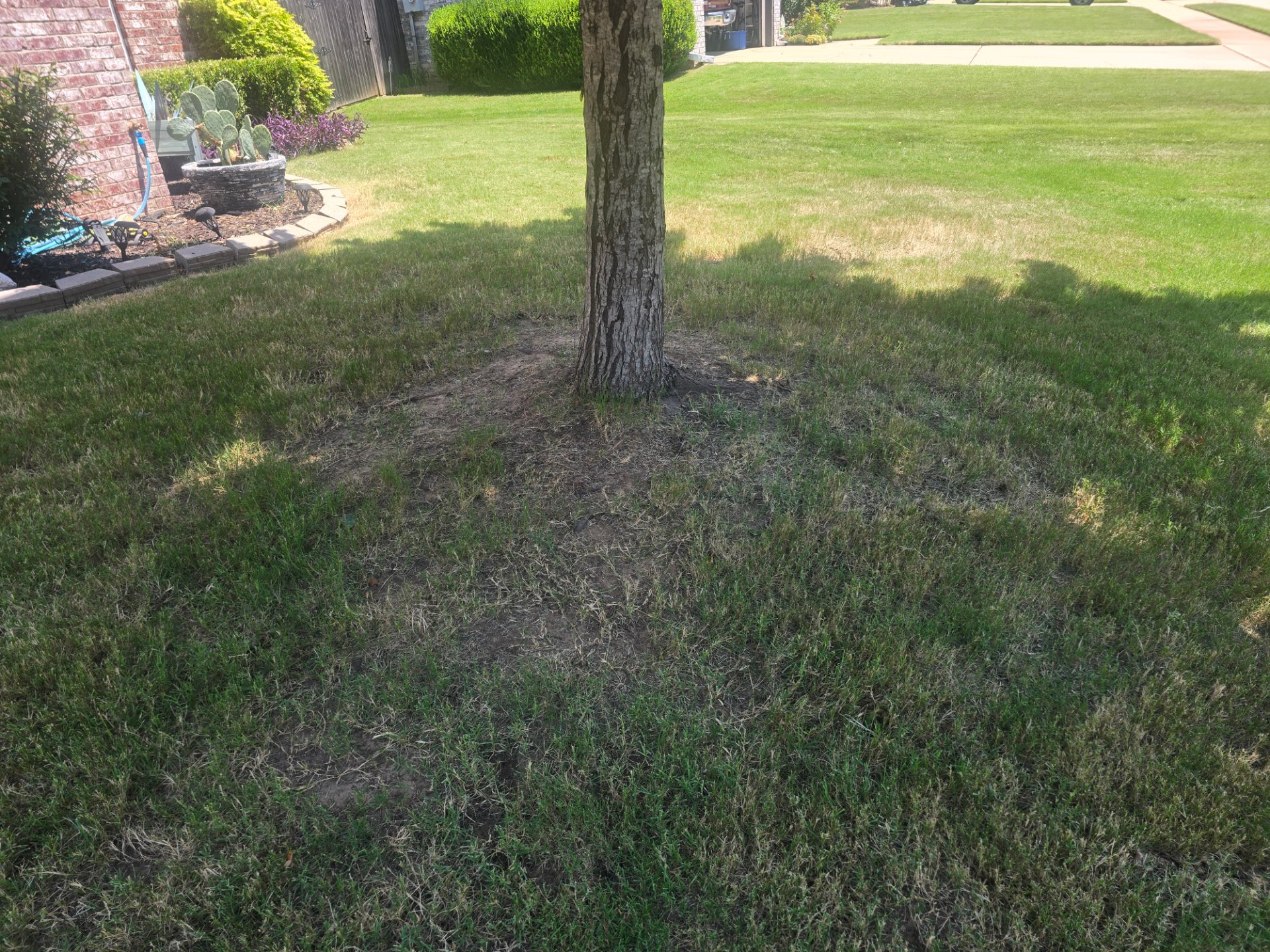 Zippysnip, Outdoor Landscaping and Design in Broken Arrow - photo 1