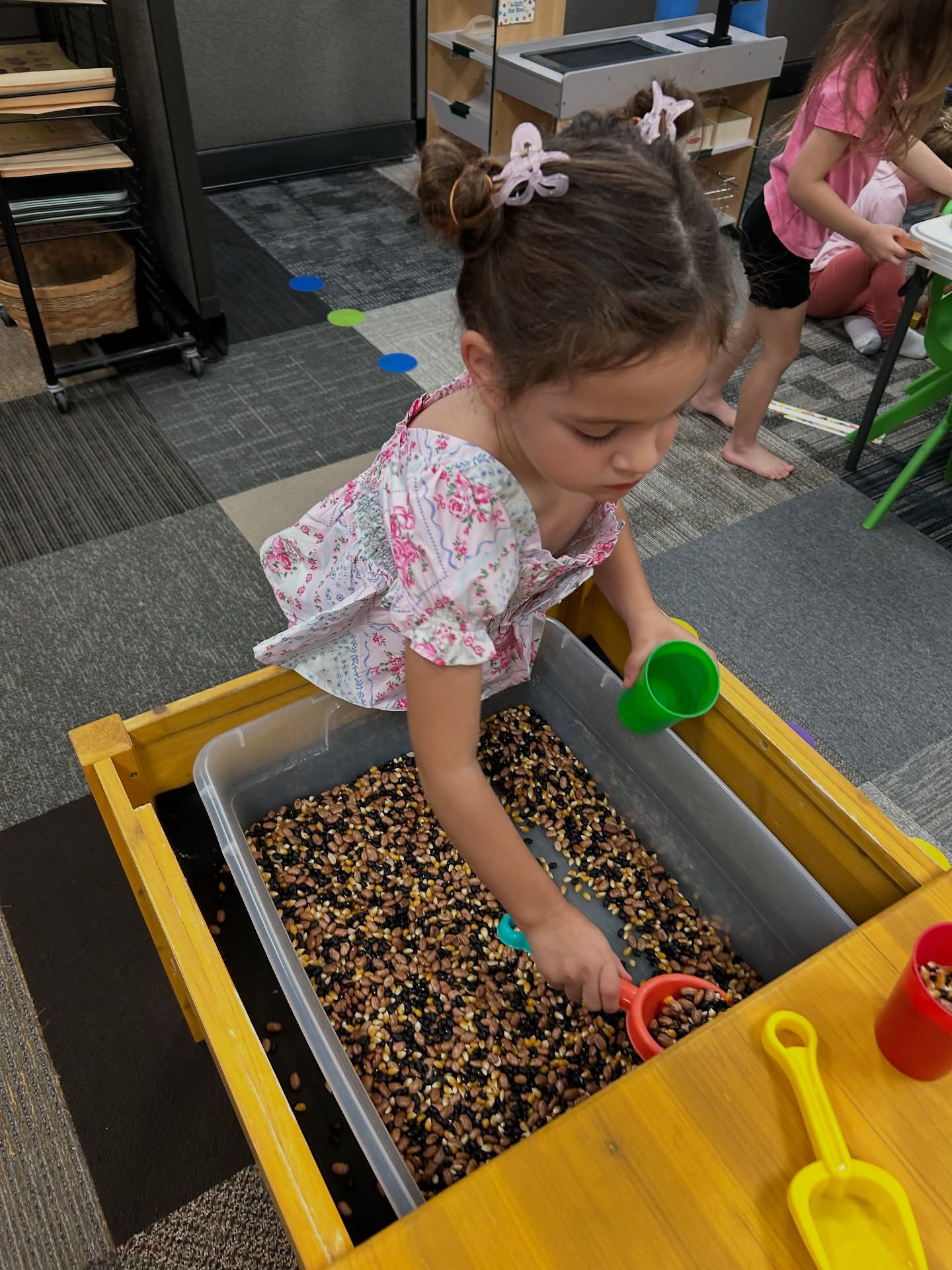 Small Wonders Preschool & Gymnastics, Gymnastics in Vero Beach, FL - photo 1