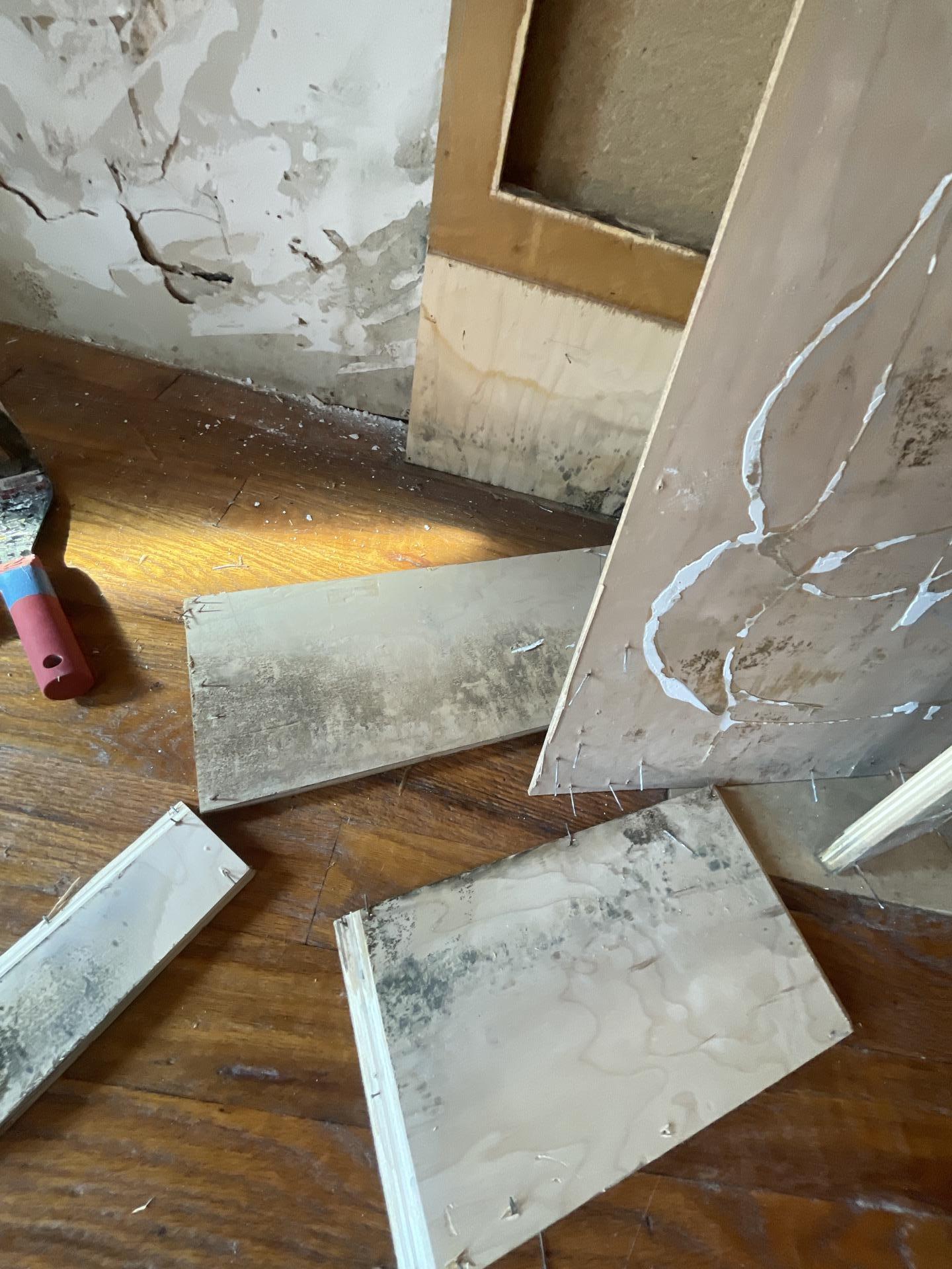 Firewater Damage Restoration, Water Damage Cleanup and Restoration in Garland, TX - photo 2