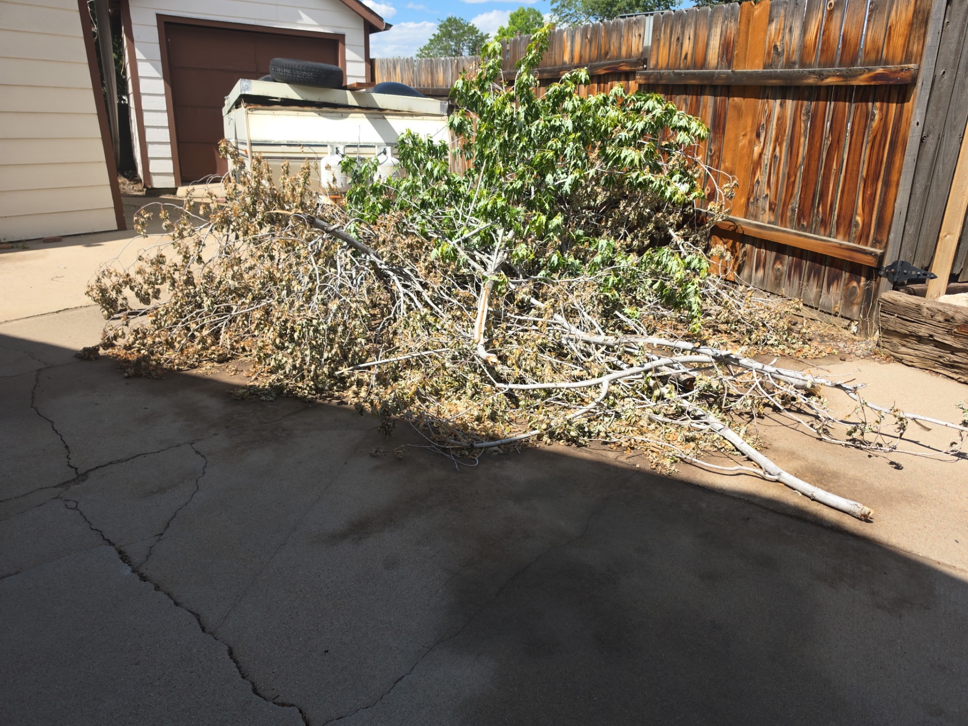 BK Junk Removal, Local Moving (under 50 miles) in Brighton, CO - photo 1