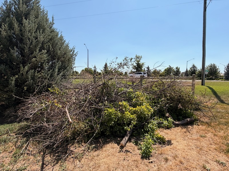 BK Junk Removal, Local Moving (under 50 miles) in Brighton, CO - photo 4