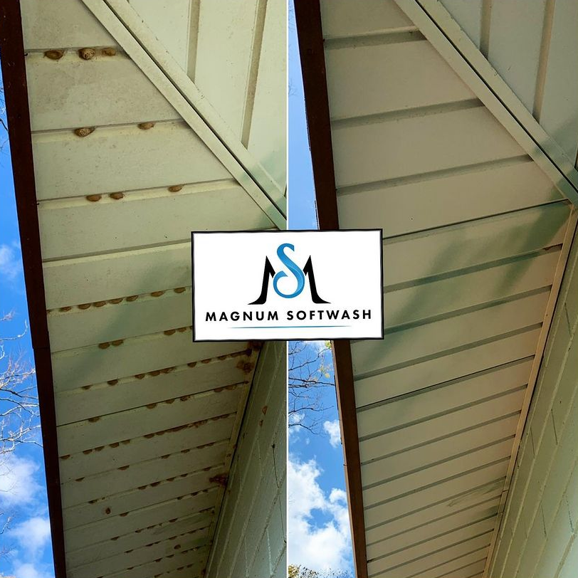 Magnum SoftWash, Pressure Washing in Orange City, FL - photo 5