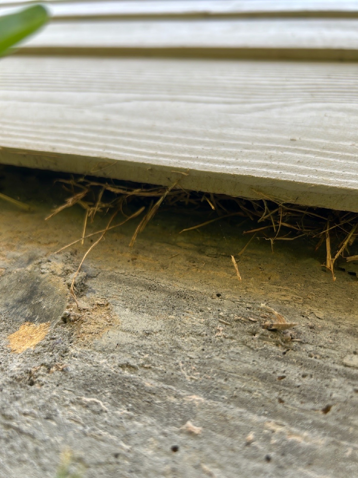 Peak Integrity Home Inspections, Real Estate Inspection in Rosharon , TX - photo 4