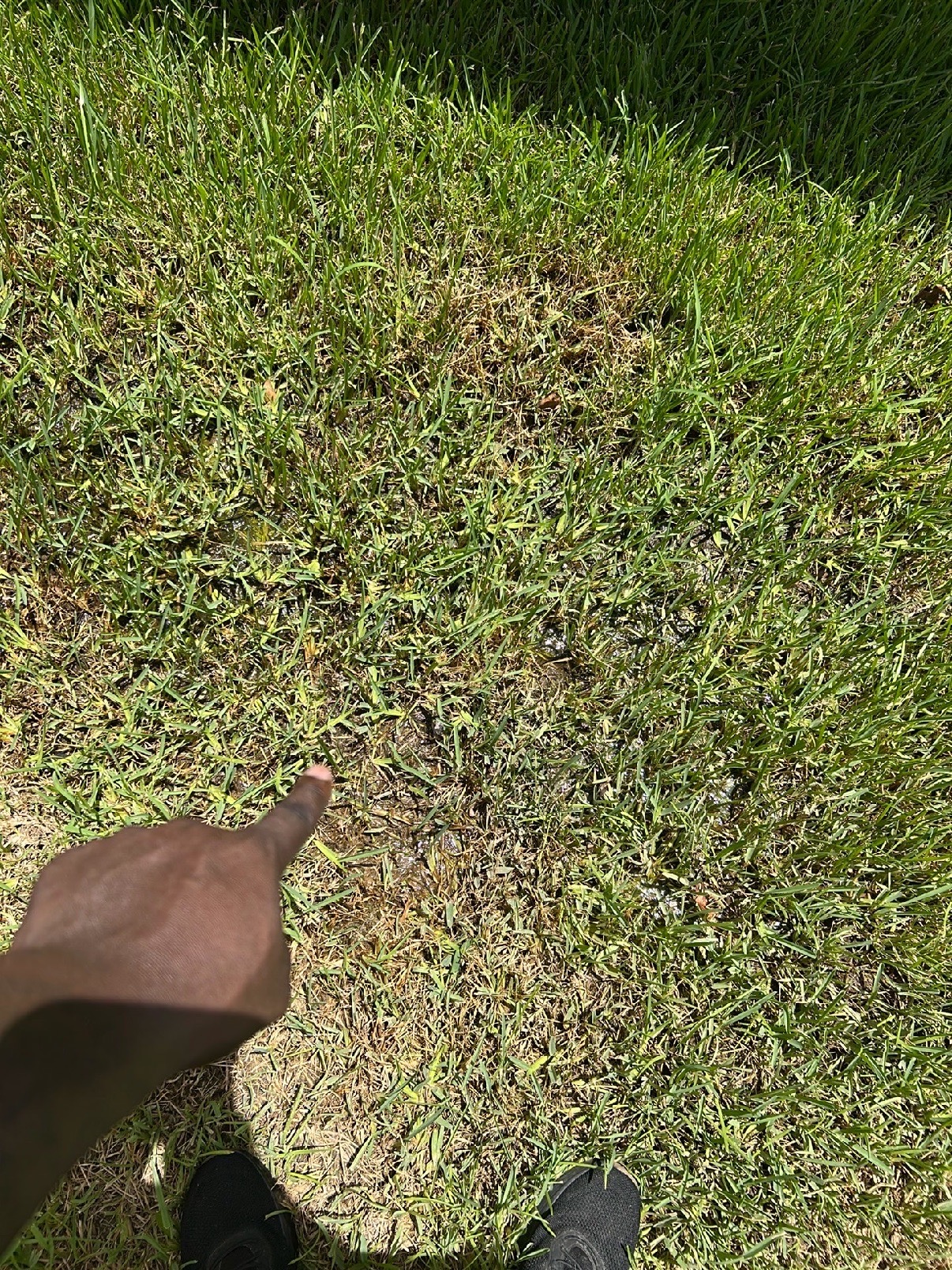 Peak Integrity Home Inspections, Real Estate Inspection in Rosharon , TX - photo 7