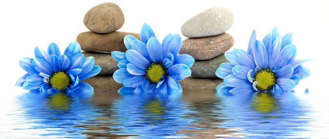 Bare Necessities Floating and Massage cover photo