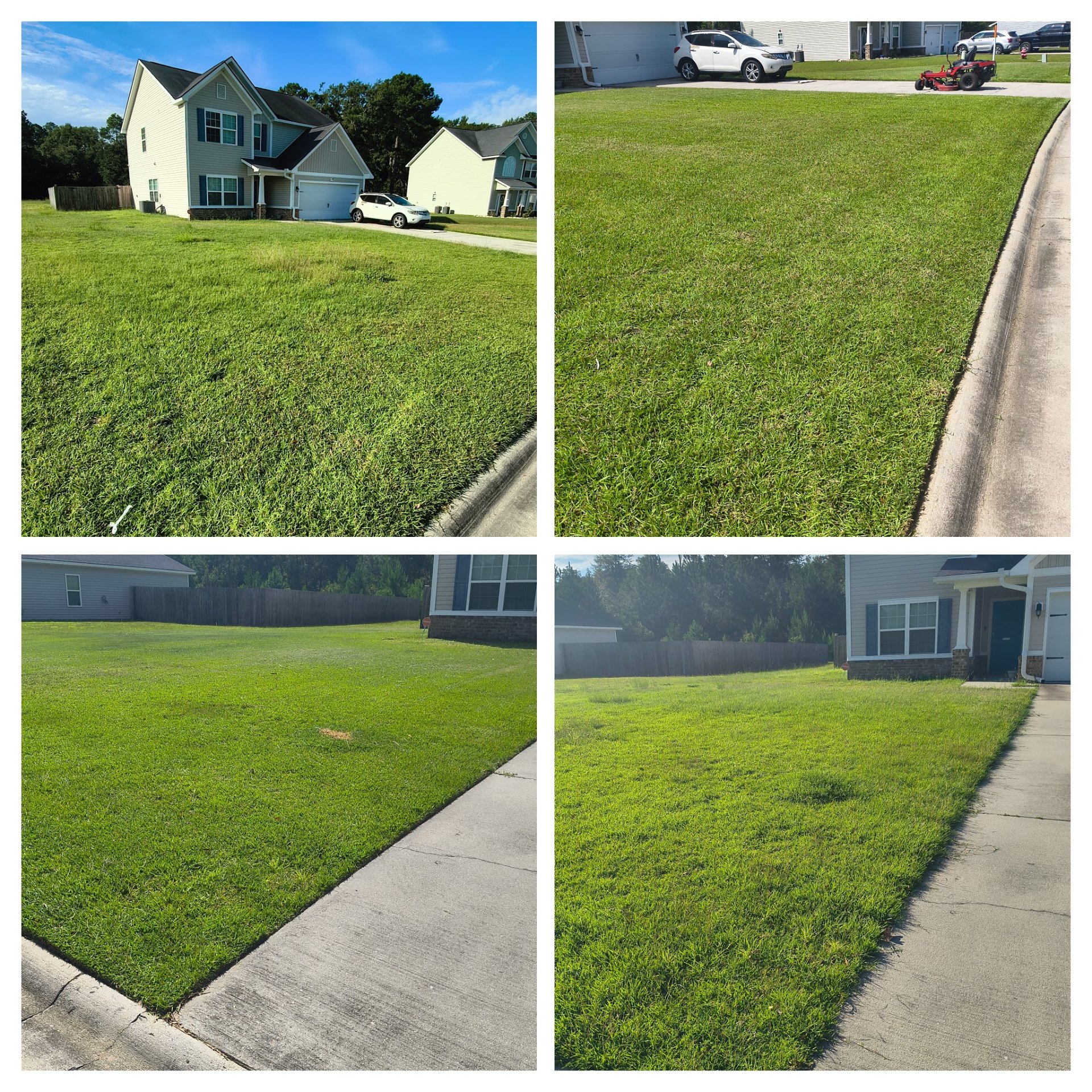 Lamb and Lion Property Service LLC, Lawn Services in Hortense, GA - photo 1