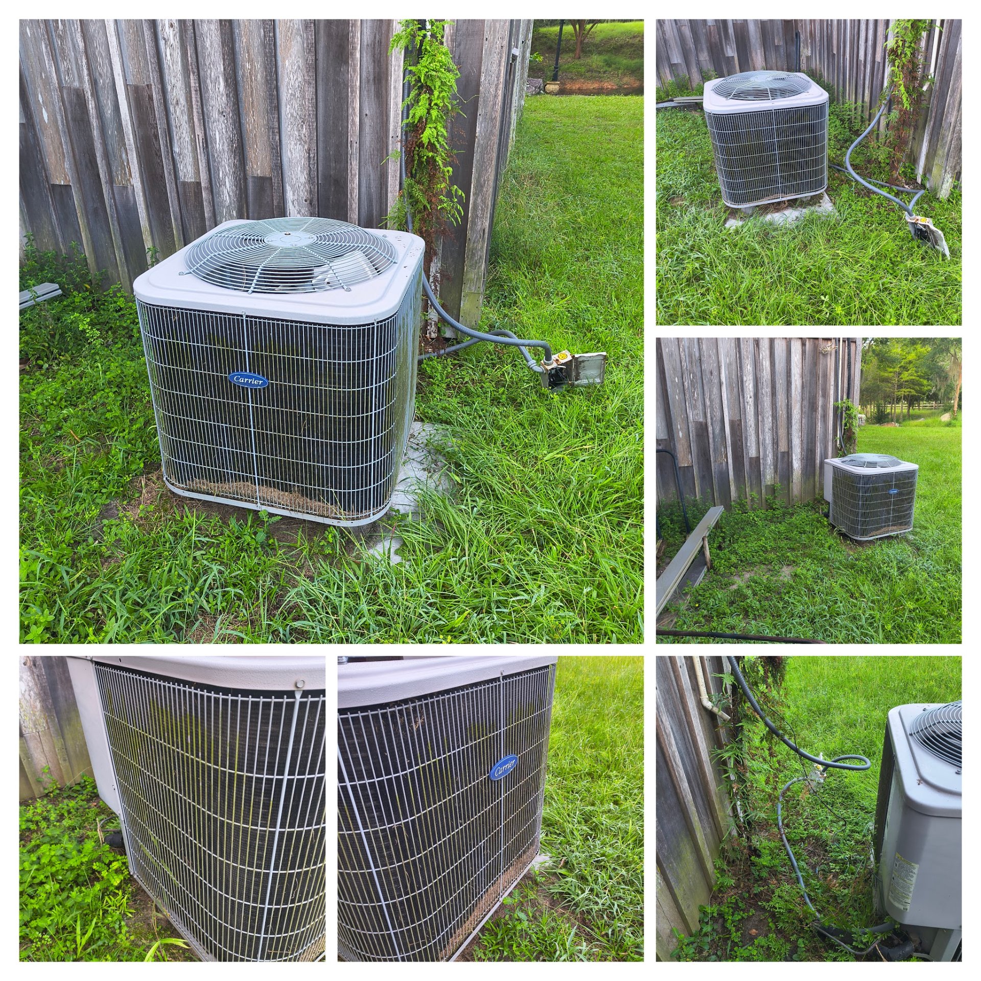 Lamb and Lion Property Service LLC, Lawn Services in Hortense, GA - photo 3