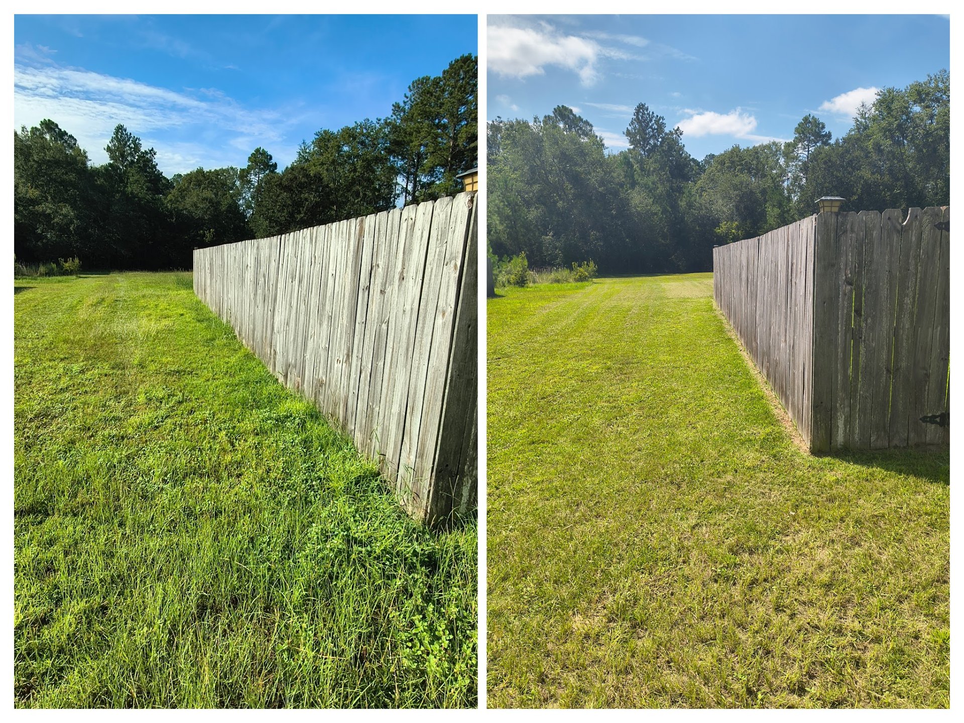 Lamb and Lion Property Service LLC, Lawn Services in Hortense, GA - photo 8