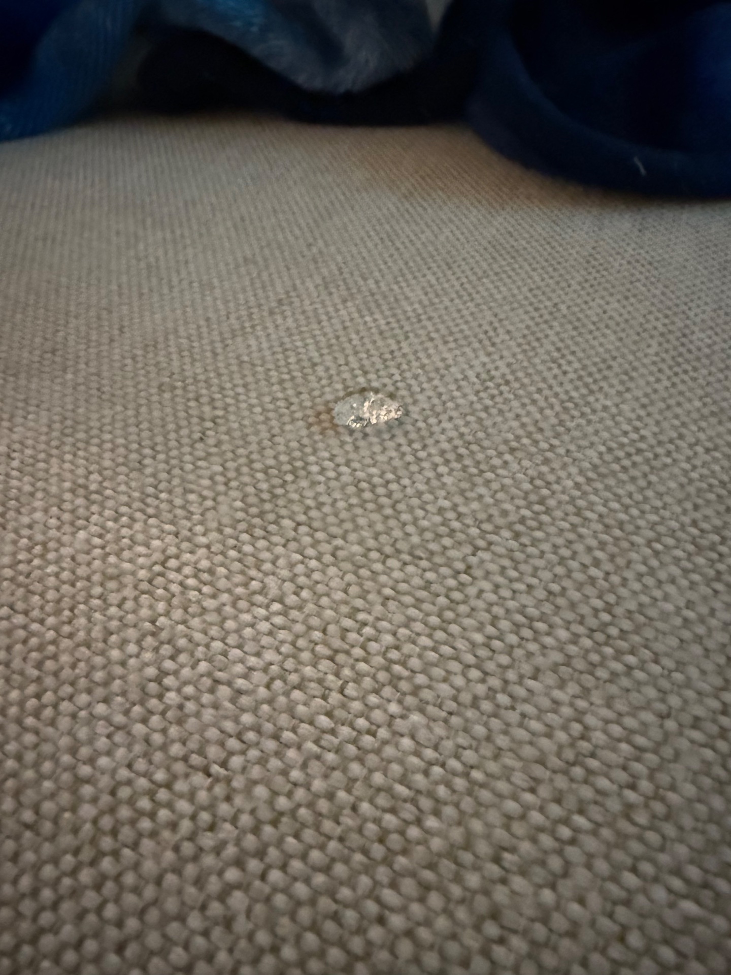 Flortech Cleaning LLC, Carpet Cleaning in Vero Beach, FL - photo 5