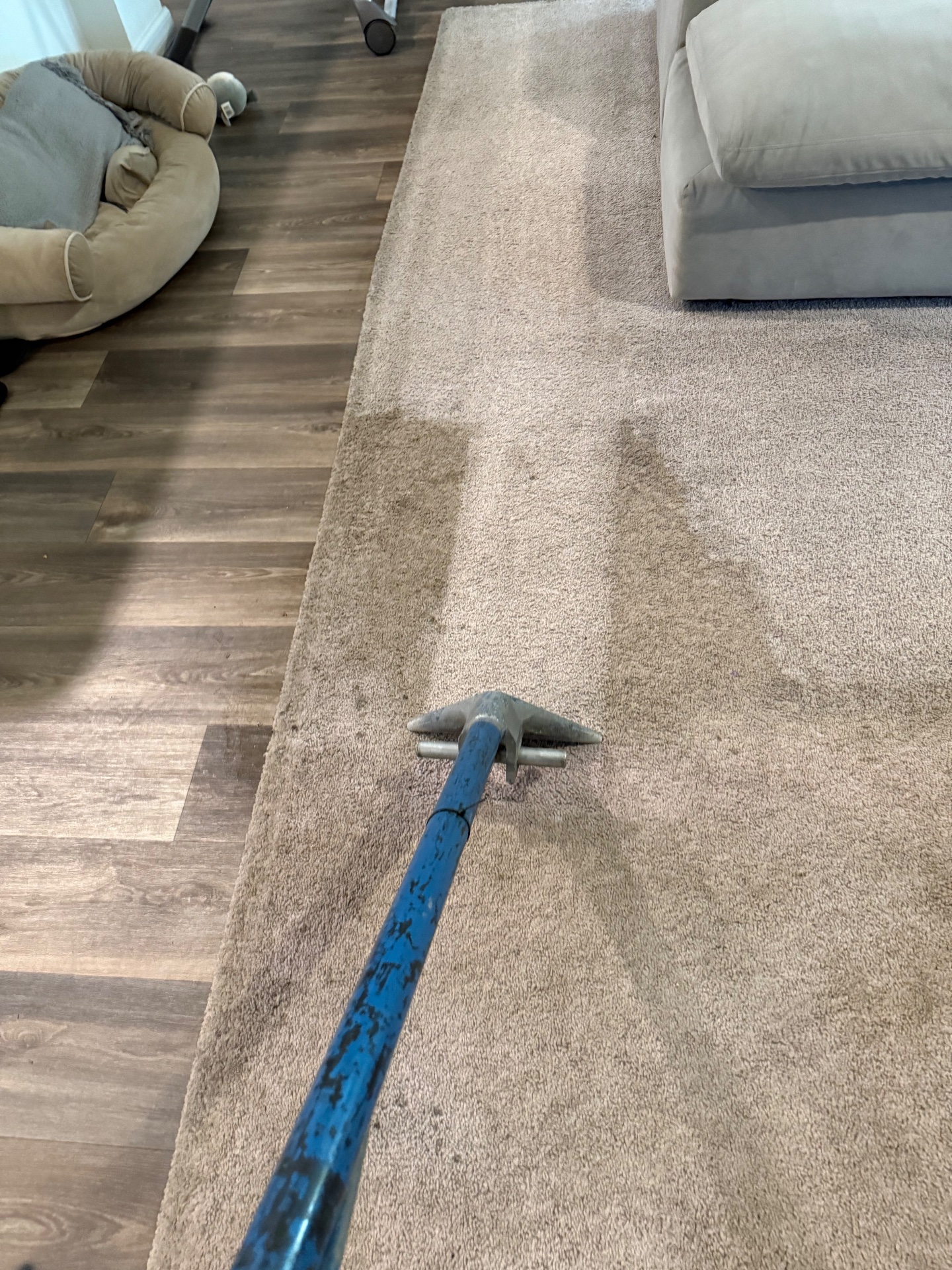 Flortech Cleaning LLC, Carpet Cleaning in Vero Beach, FL - photo 8