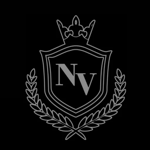 Newvision Transports & Containers logo