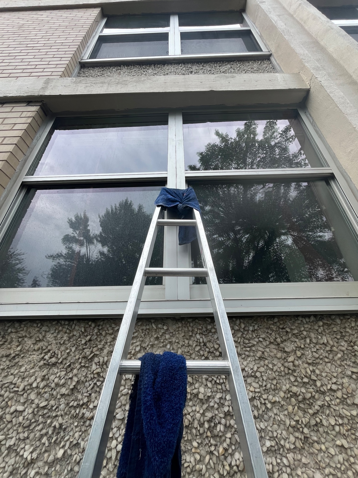 Laurel window cleaning llc, Window Cleaning in Abington, PA - photo 1