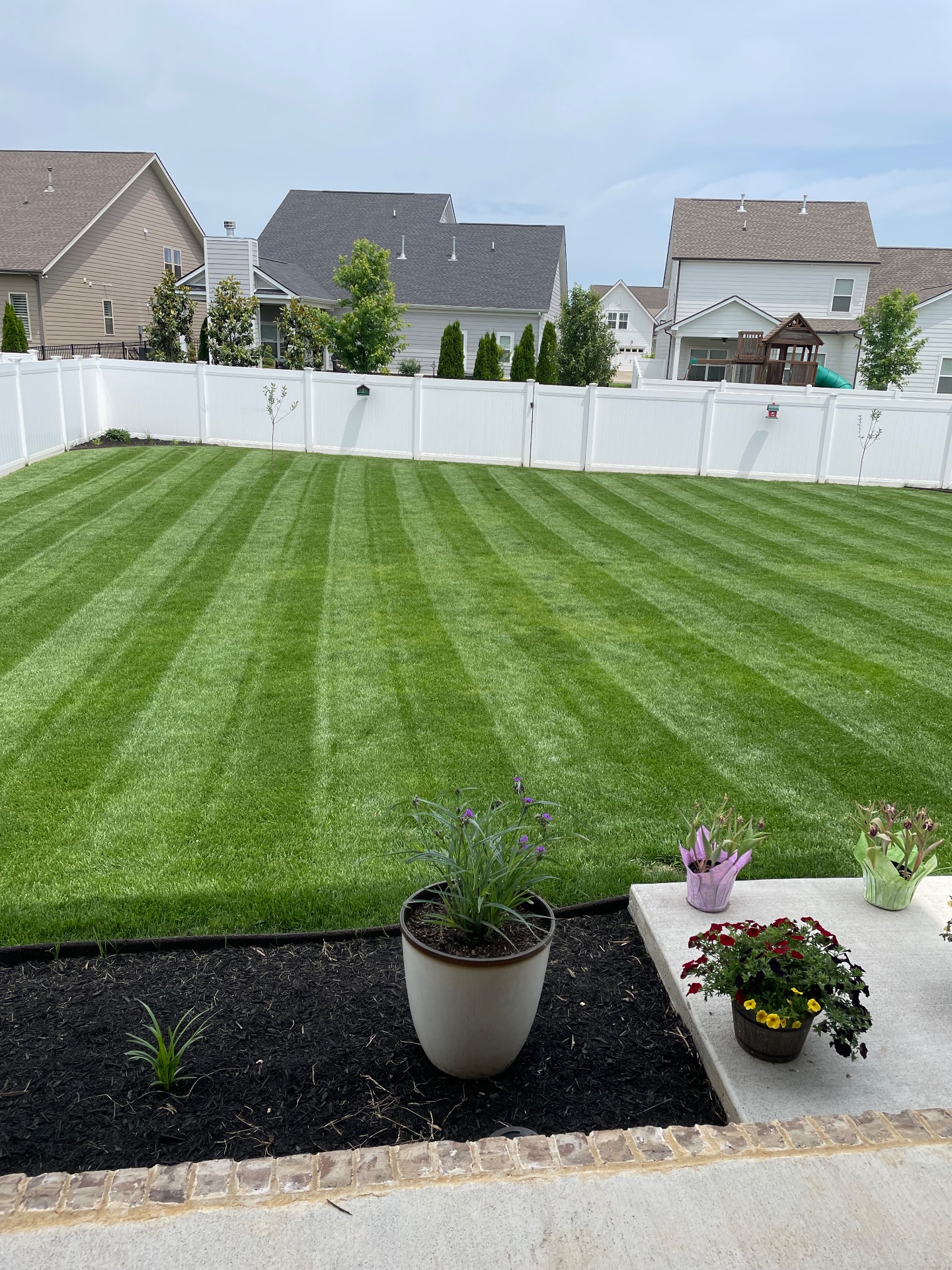 Turf Brothers Lawn Care LLC, Lawn Mowing and Trimming in Murfreesboro, TN - photo 1