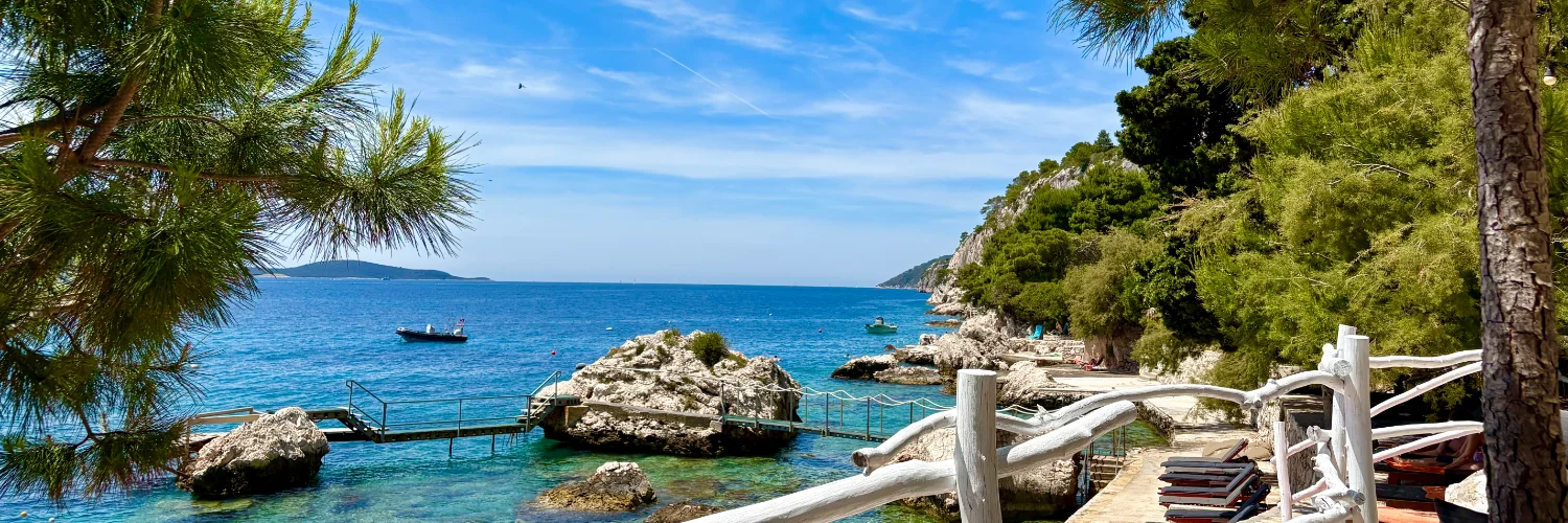 Travel Savvy Agency cover photo