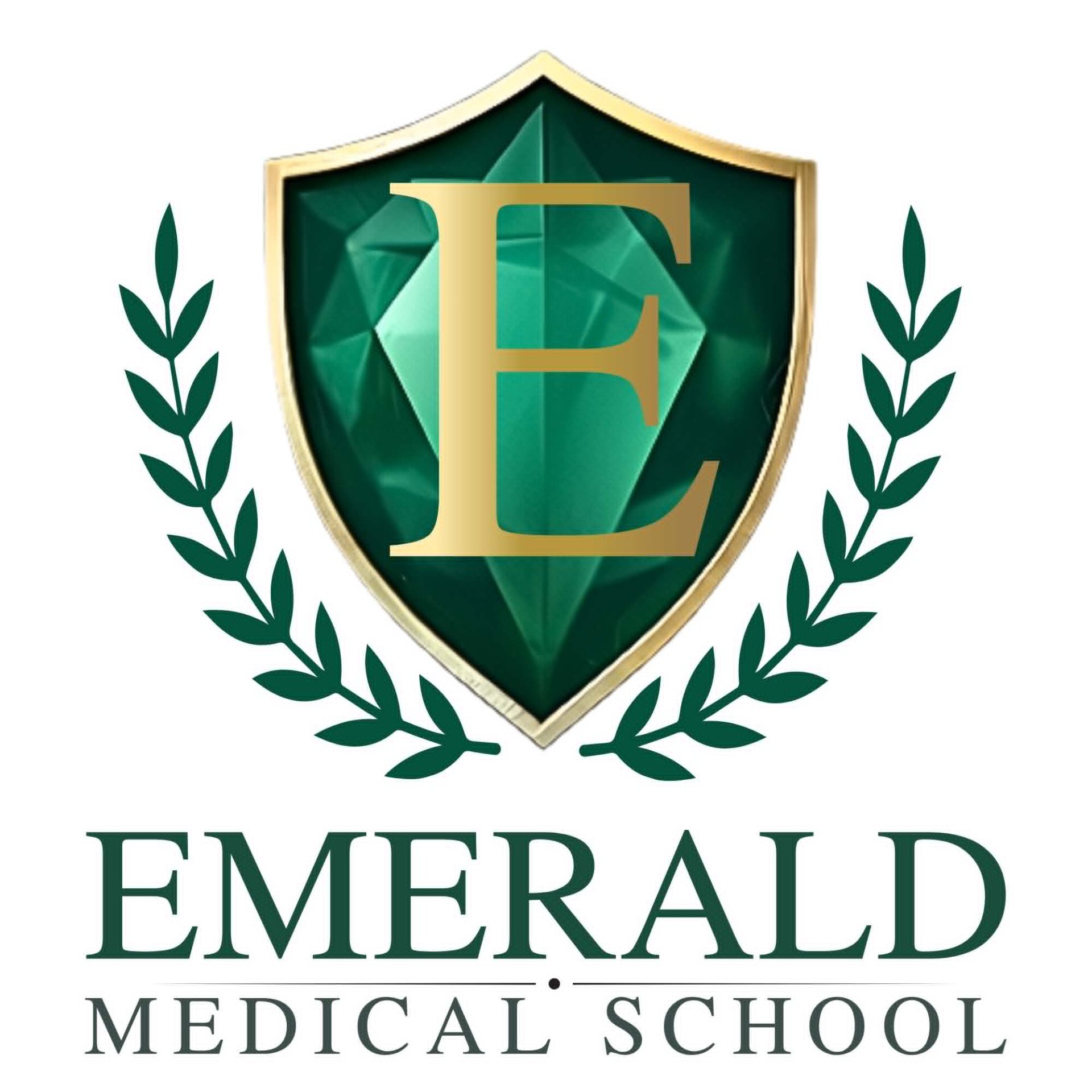 Emerald Medical School, Educational Services in Murphy, TX - photo 2