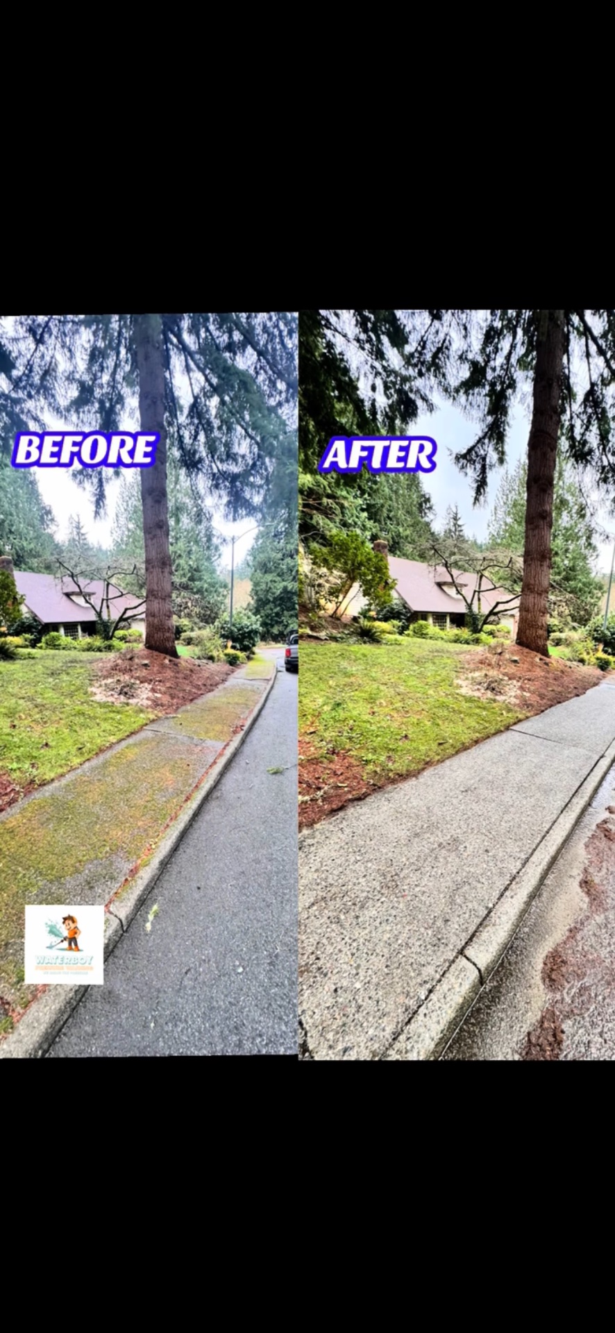 Waterboy Pressure Washing, Pressure Washing in Everett, WA - photo 6