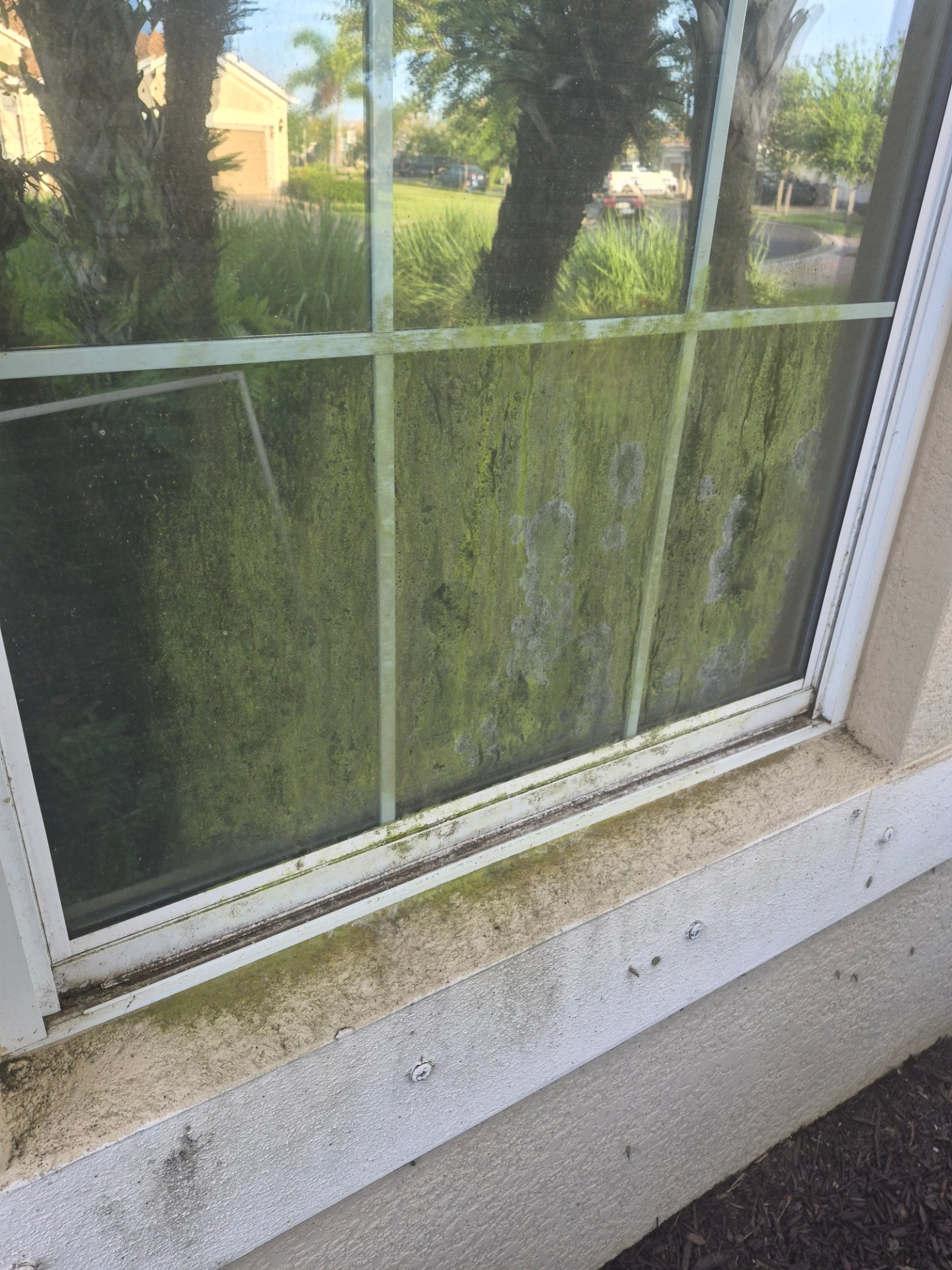 Florida wash solutions, Pressure Washing in Lehigh acres , FL - photo 4