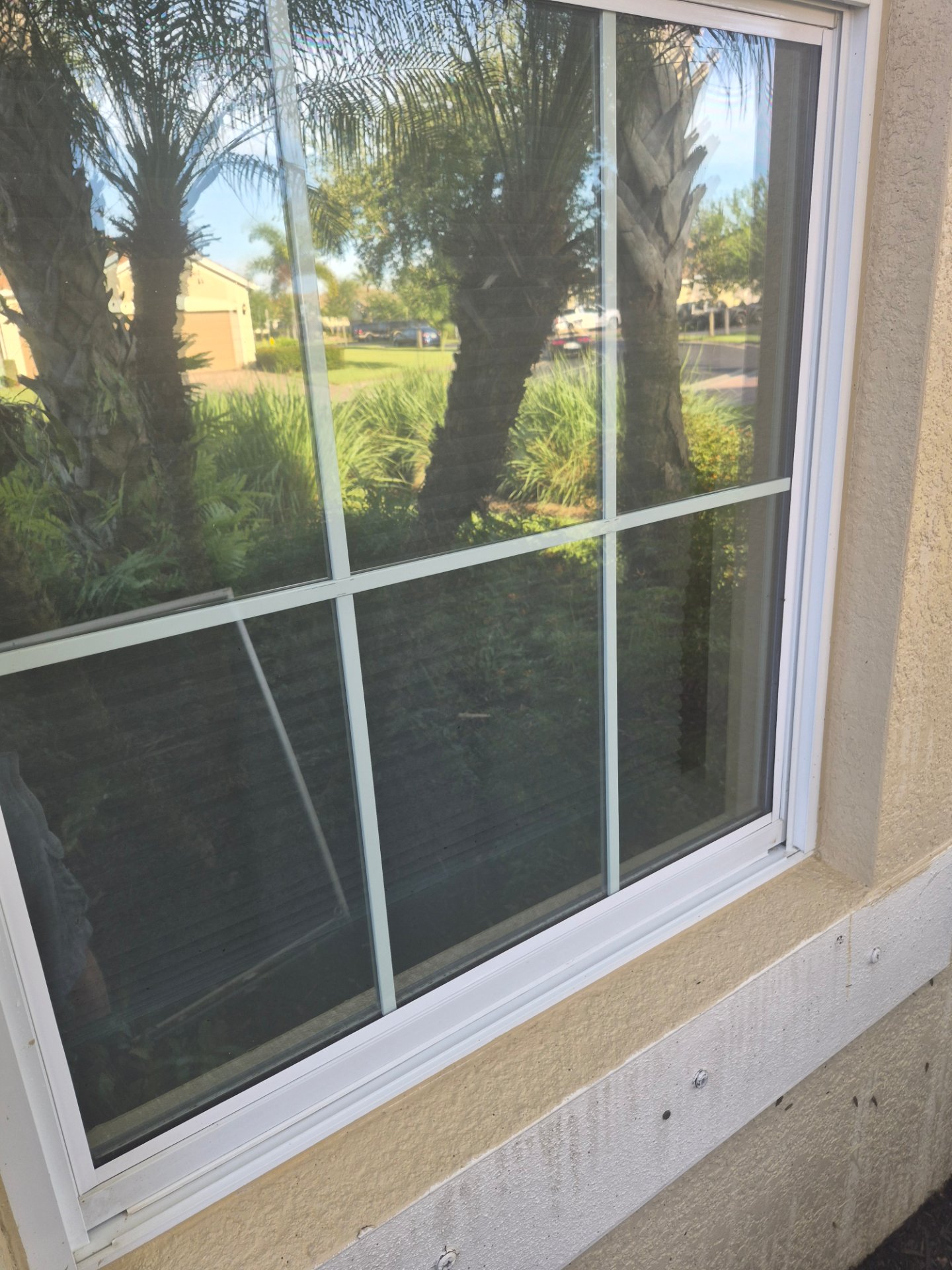 Florida wash solutions, Pressure Washing in Lehigh acres , FL - photo 5