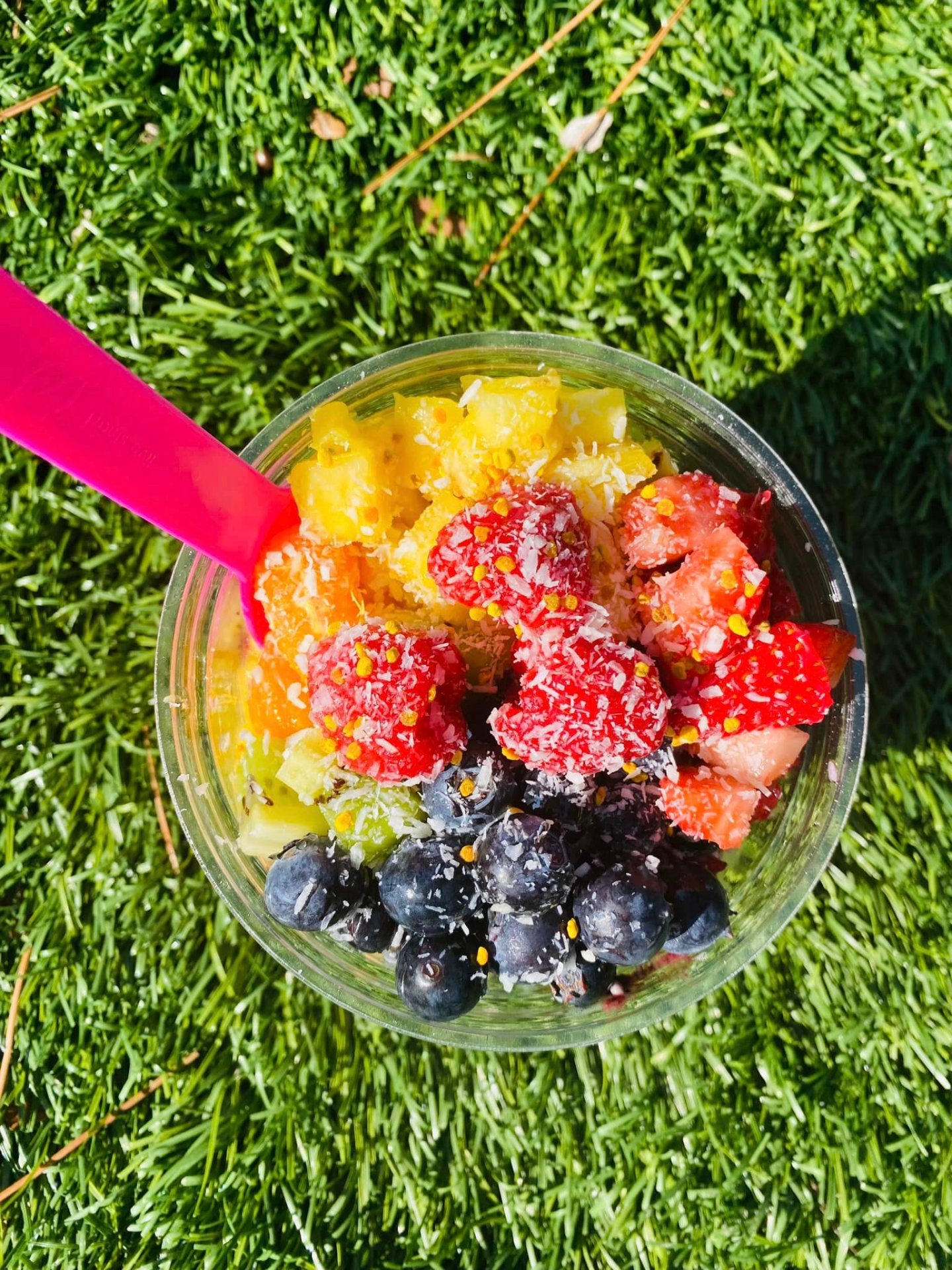 Boujee Bowls TX, Acai Bowls in Schertz, TX - photo 4