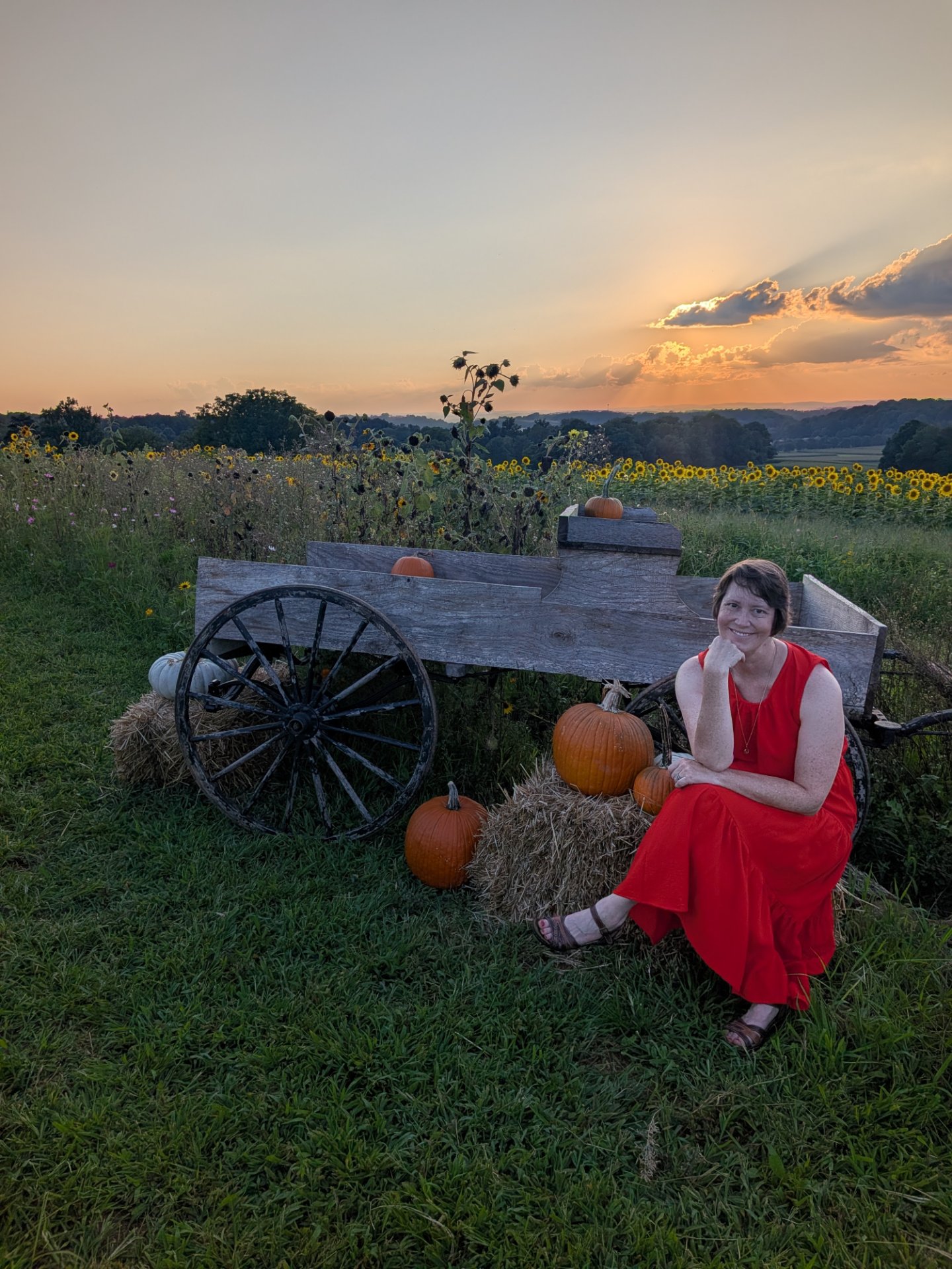 Inspire More Travel, Travel Agents in Lancaster, PA - photo 7