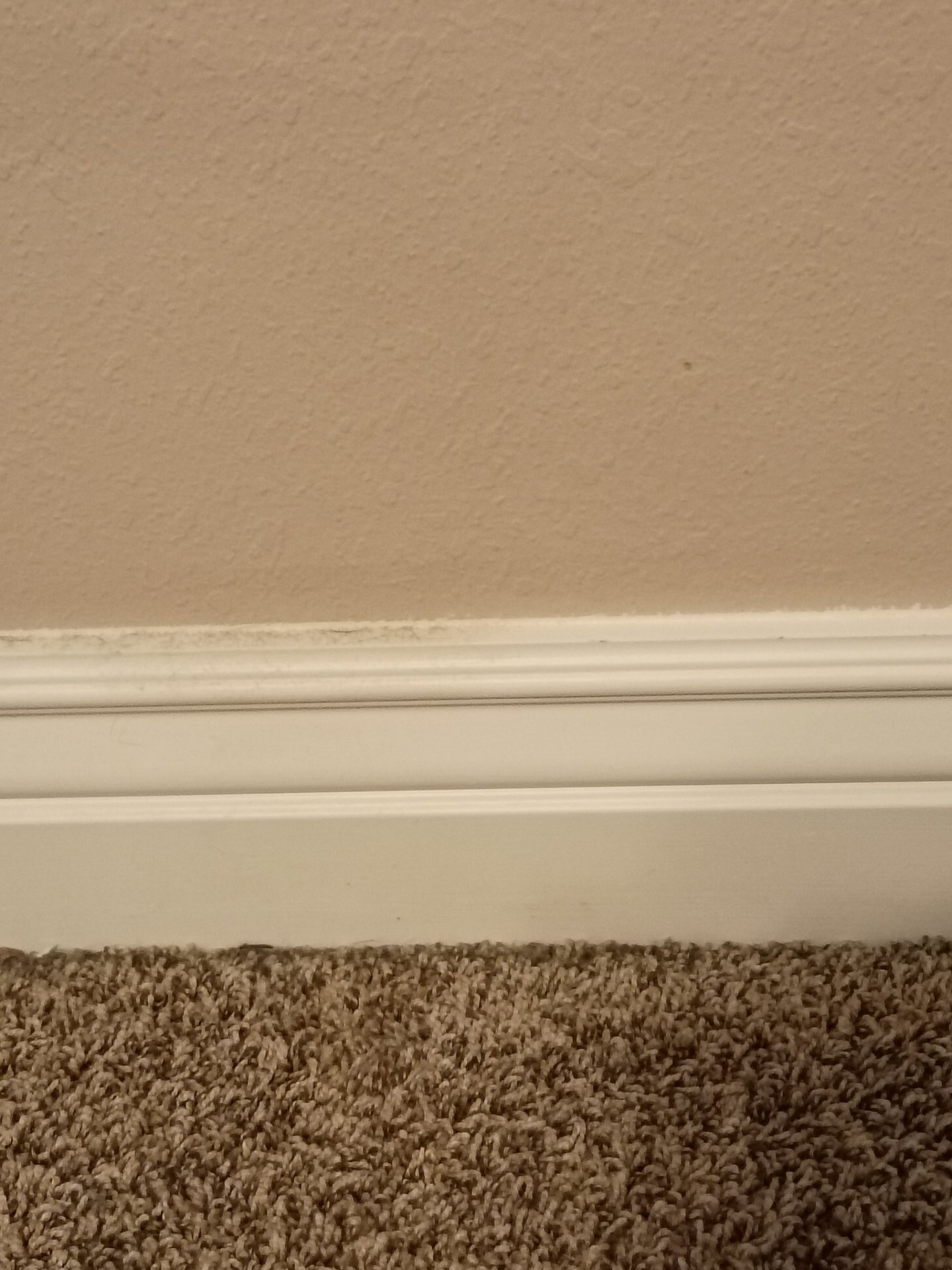 Whirlwind Cleaners LLC Veteran Owned, Carpet Cleaning in De Soto, MO - photo 7