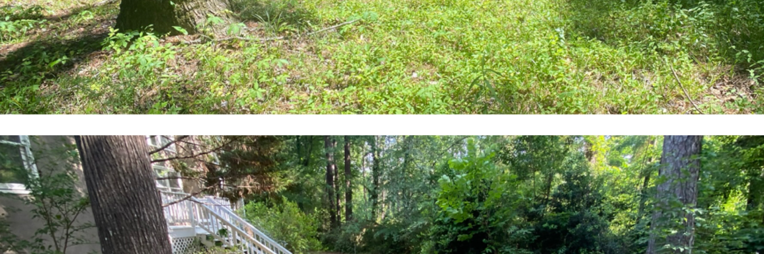 Jerrell Exterior Cleaning And Lawn Service LLC. cover photo