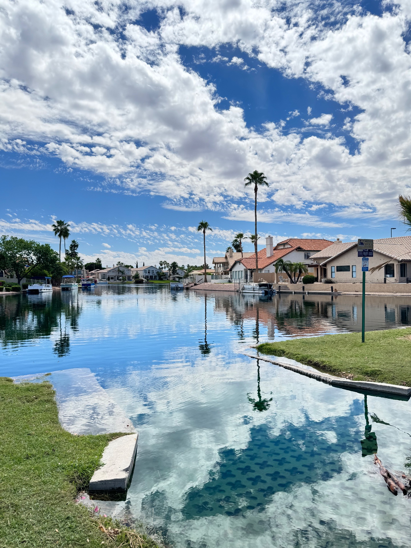 Claudia Lockwood - W and Partners, Apartments in Phoenix, AZ - photo 6