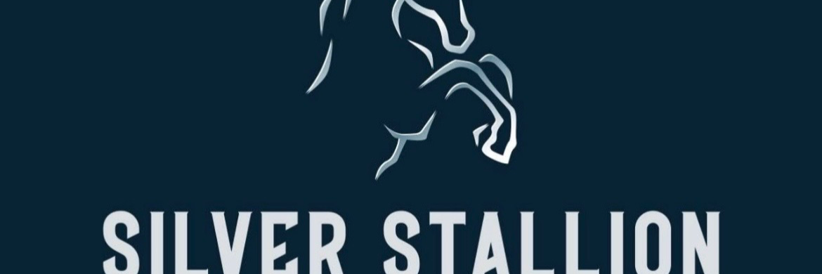 Silver Stallion Bartending cover photo